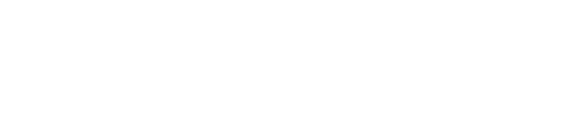 Dandelion Service White Logo