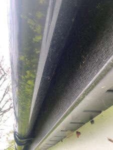 Gutters fascia Cleaning-2